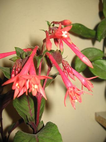 Name:  Resim 016.jpg
Views: 4671
Size:  30.9 KB