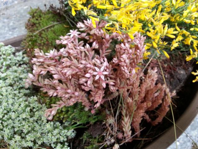 Name:  20130430_124642.jpg
Views: 1295
Size:  70.5 KB