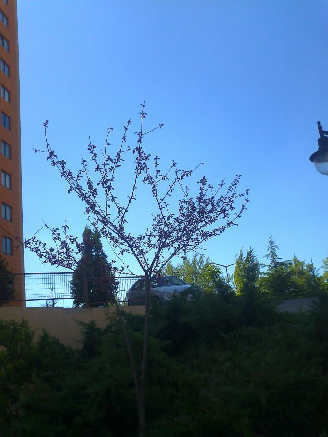 Name:  Fotoraf0361.jpg
Views: 1099
Size:  66.7 KB