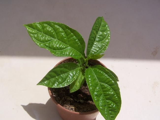 Name:  039.jpg
Views: 1024
Size:  31.1 KB