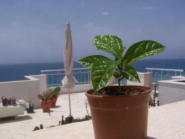 Name:  041.jpg
Views: 1020
Size:  30.5 KB