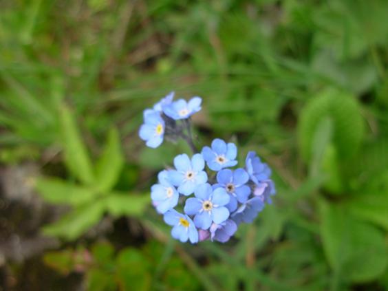 Name:  w3.JPG
Views: 2514
Size:  28.7 KB