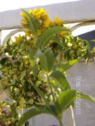Name:  3.jpg
Views: 5173
Size:  34.3 KB