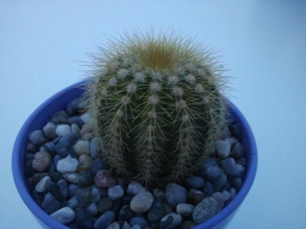 Name:  2013-08-10 17.26.44.jpg
Views: 1740
Size:  27.4 KB