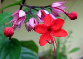 Name:  images (3).jpg
Views: 2519
Size:  6.8 KB