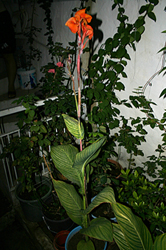 Name:  img2.jpg
Views: 934
Size:  58.6 KB