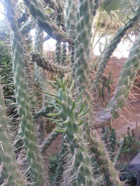 Name:  20140227_170252.jpg
Views: 806
Size:  62.5 KB