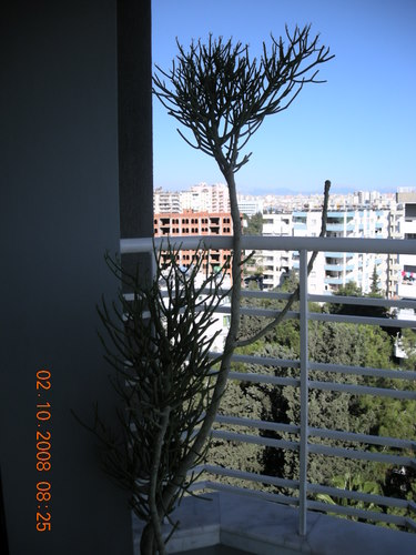 Name:  DSCN2230.JPG
Views: 4024
Size:  61.2 KB