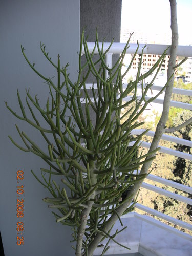 Name:  DSCN2231.JPG
Views: 3330
Size:  65.7 KB