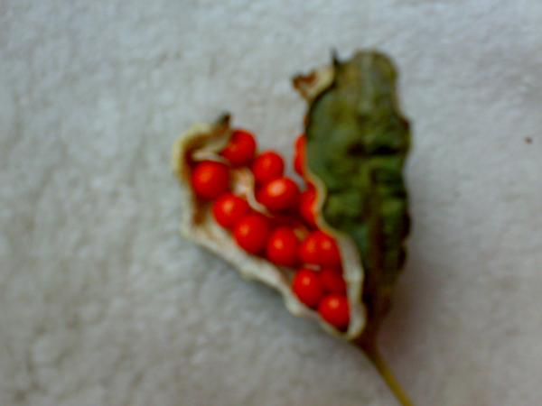 Name:  17102008207.jpg
Views: 1004
Size:  19.1 KB