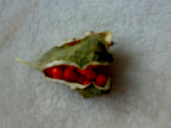 Name:  17102008208.jpg
Views: 1123
Size:  17.9 KB