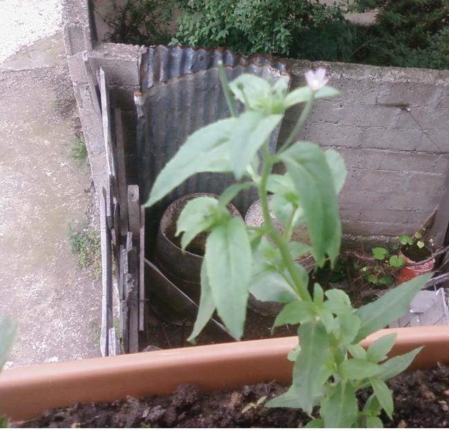 Name:  Fotoraf3196.jpg
Views: 1516
Size:  66.5 KB