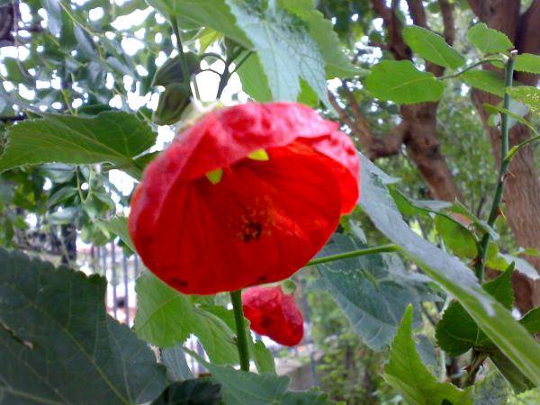 Name:  19102008215.jpg
Views: 1422
Size:  48.0 KB
