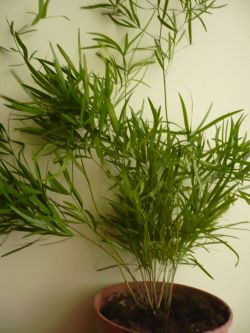 Name:  bilinmeyen.jpg
Views: 2131
Size:  18.9 KB