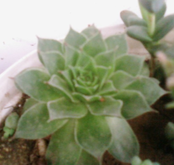 Name:  Fotoraf3321.jpg
Views: 667
Size:  58.7 KB