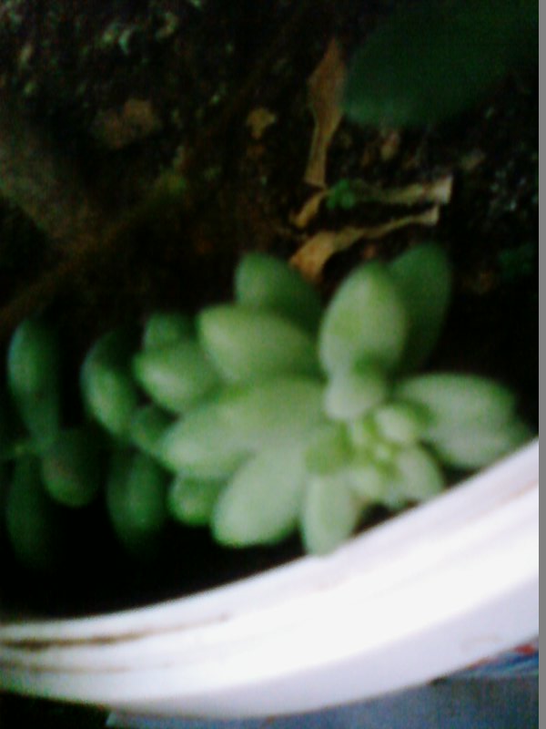 Name:  Fotoraf3332.jpg
Views: 745
Size:  66.4 KB