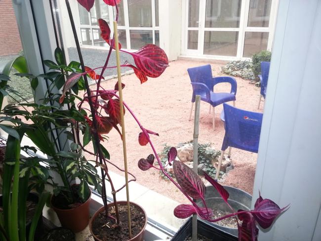 Name:  20150306_112050.jpg
Views: 3229
Size:  60.5 KB