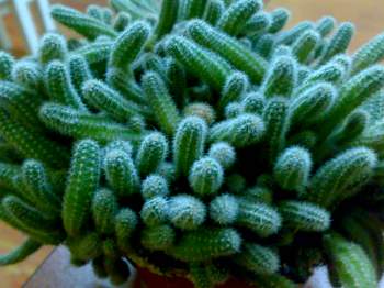 Name:  phpcGYVzQAM.jpg
Views: 2393
Size:  54.7 KB