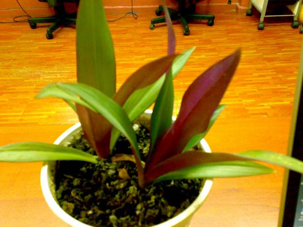 Name:  ne2.jpg
Views: 3037
Size:  40.2 KB