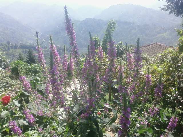 Name:  Fotoraf3544.jpg
Views: 5014
Size:  52.3 KB