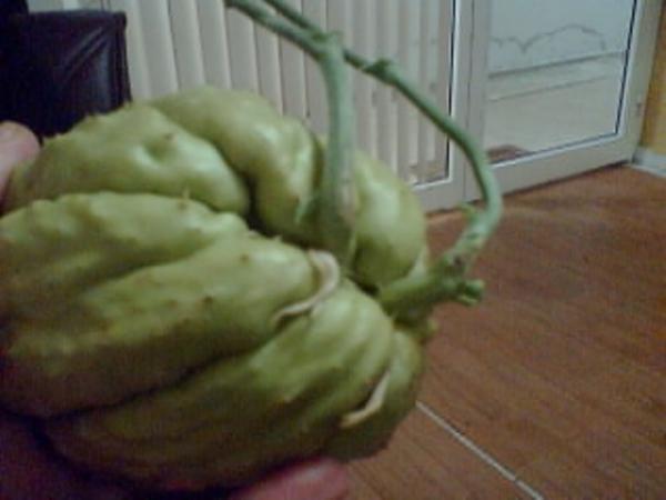 Name:  Grnt023.jpg
Views: 4478
Size:  24.3 KB