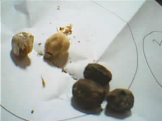 Name:  Resim 010.jpg
Views: 1330
Size:  6.9 KB