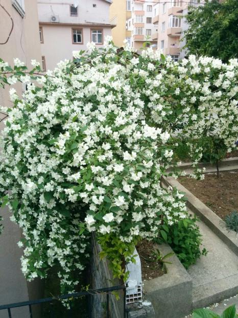 Name:  e54d026e-99ef-42d1-84f0-bcadf0fc4e59.jpg
Views: 1156
Size:  79.0 KB