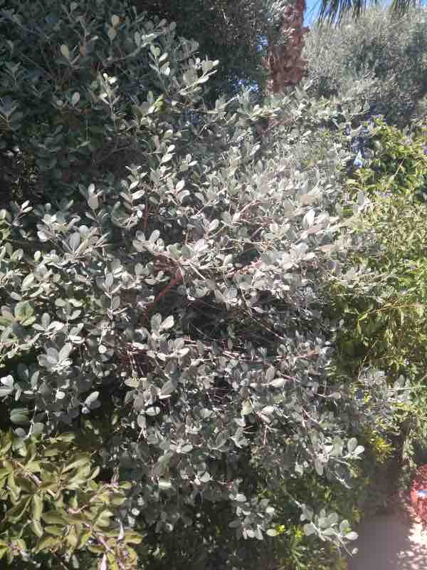 Name:  _12_10.jpg
Views: 3381
Size:  56.3 KB