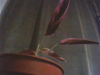Name:  Resim 031.jpg
Views: 1672
Size:  6.6 KB