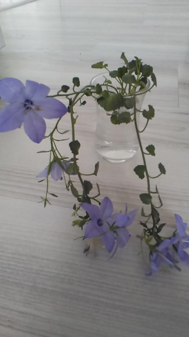 Name:  1591711967783358666088.jpg
Views: 1195
Size:  50.8 KB