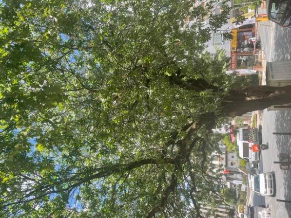Name:  IMG_6829.jpg
Views: 135
Size:  72.2 KB