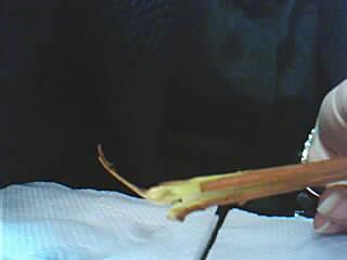 Name:  Resim 038.jpg
Views: 1391
Size:  6.5 KB