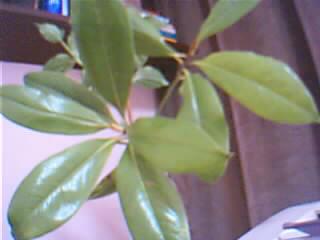 Name:  Resim 039.jpg
Views: 1034
Size:  9.1 KB