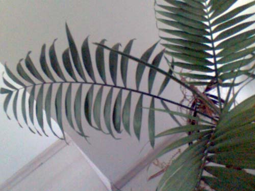 Name:  picture_00080.jpg
Views: 1341
Size:  47.2 KB