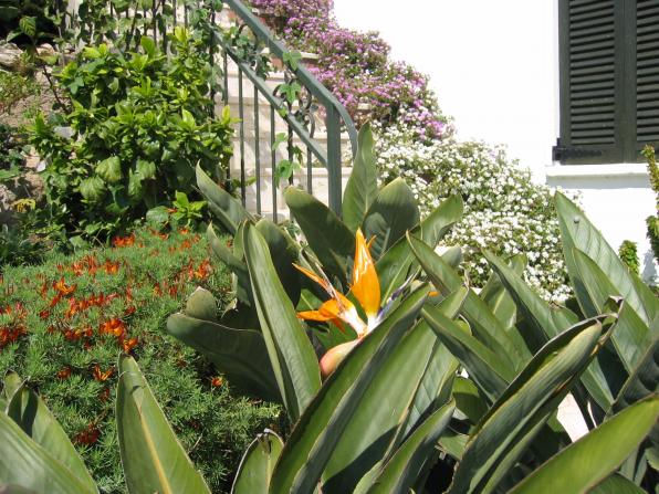 Name:  Picture 012 (2).jpg
Views: 1001
Size:  71.5 KB