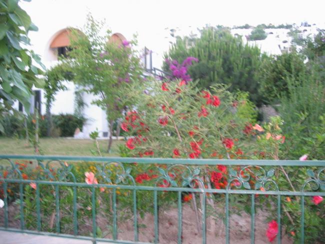 Name:  Picture 009.jpg
Views: 1087
Size:  57.2 KB
