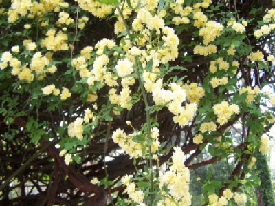 Name:  027.jpg
Views: 4925
Size:  58.5 KB