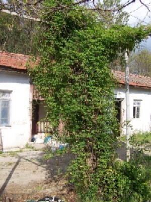 Name:  039.jpg
Views: 1925
Size:  58.0 KB