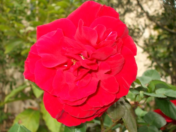 Name:  29 kasm 10 041.jpg
Views: 1603
Size:  50.0 KB
