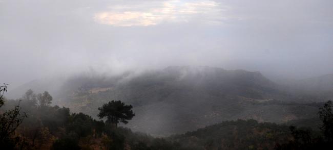 Name:  10-laputa.jpg
Views: 2725
Size:  13.0 KB