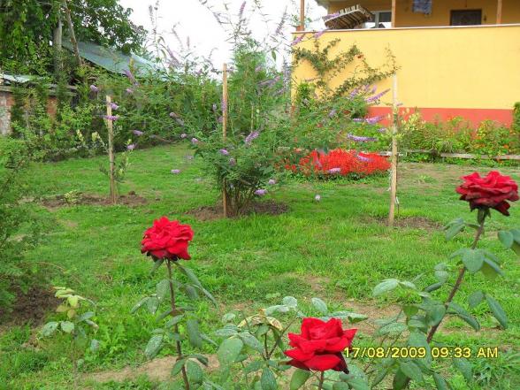 Name:  492.jpg
Views: 2044
Size:  70.6 KB