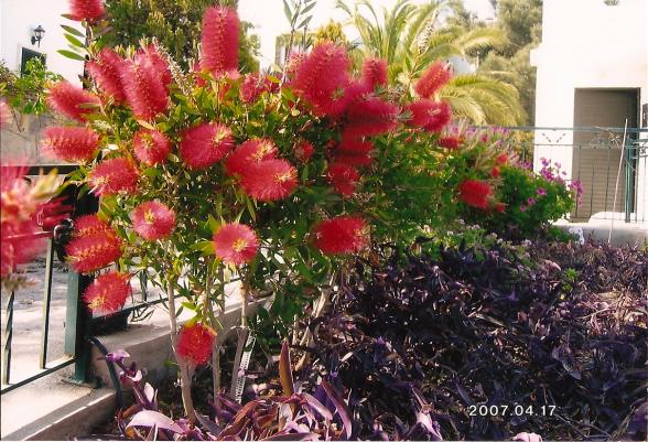 Name:  IMG 001.jpg
Views: 8530
Size:  70.9 KB