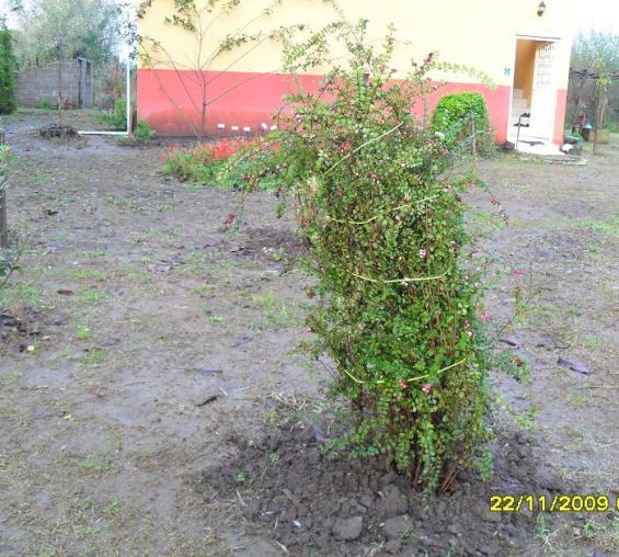 Name:  resimlerim 1000.jpg
Views: 1013
Size:  71.2 KB