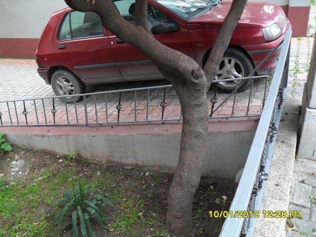 Name:  SDC11429.jpg
Views: 31492
Size:  64.6 KB