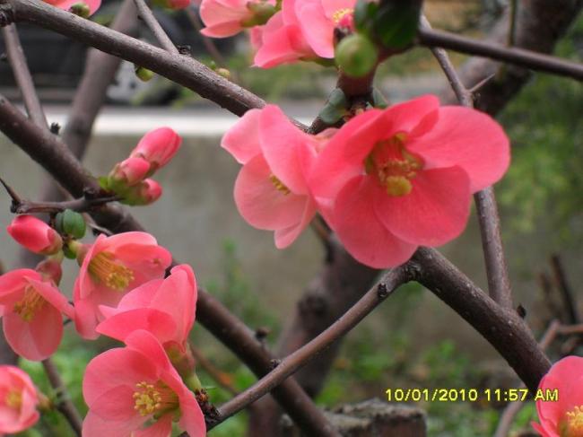 Name:  SDC11416.jpg
Views: 11634
Size:  40.1 KB