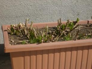 Name:  S6306428.jpg
Views: 2603
Size:  14.7 KB