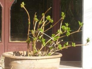 Name:  S6306429.jpg
Views: 2567
Size:  13.7 KB