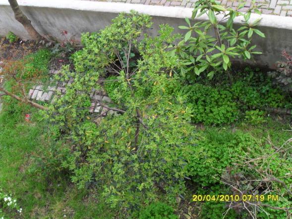 Name:  003.jpg
Views: 30461
Size:  72.1 KB