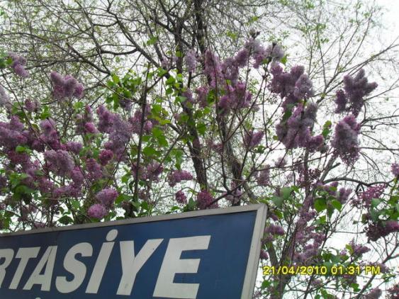 Name:  014.jpg
Views: 1647
Size:  73.9 KB