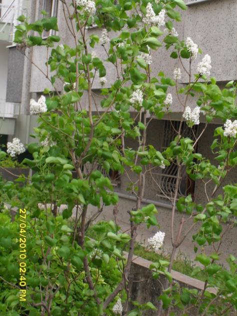 Name:  002-1.jpg
Views: 3365
Size:  64.3 KB